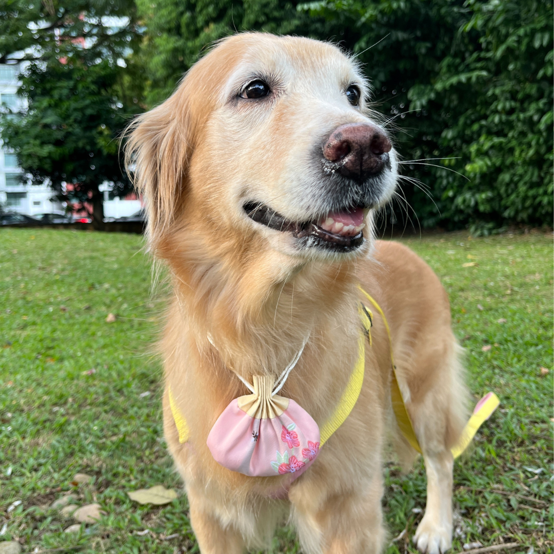 EasePaws Herbal Sachet